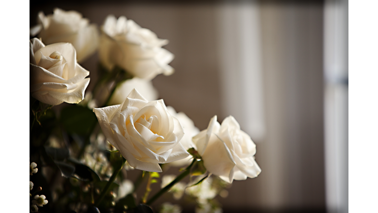 Cream Colored Roses