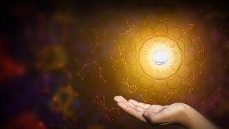 Predictions & Open Lines