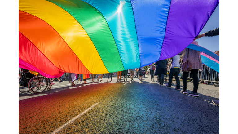 Gay Pride Parade-People marching with a large Flag, Reykjavik, Iceland