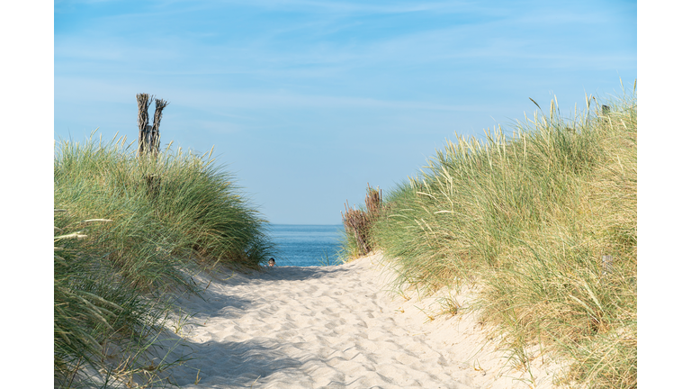 Dune With Beach Grass In The Foreground