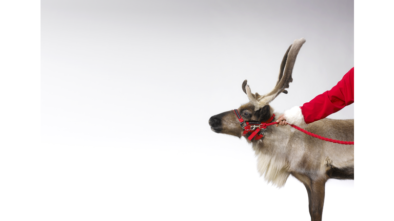 Santa Claus with reindeer and copy space