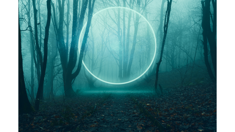 Stargates & Dervishes