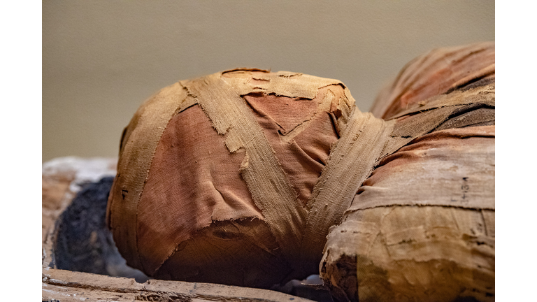 New Revelation: Egypt's Mummies Weren't Made to Preserve the Dead