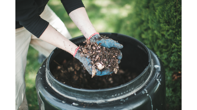 Man showing compost