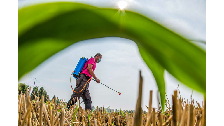 CHINA-ECONOMY-AGRICULTURE