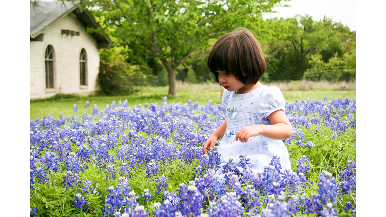 Bluebonnet Walk