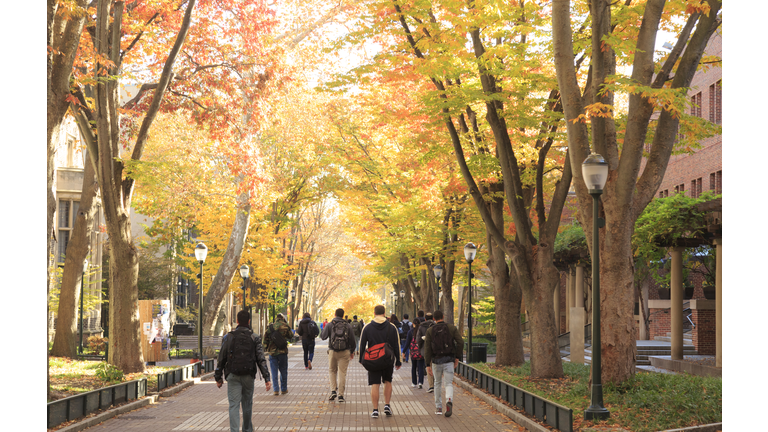 University Campus with Crowd of Students