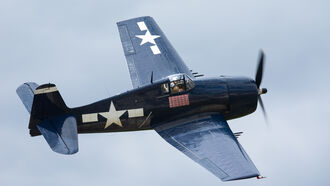 Reincarnation of a Fighter Pilot