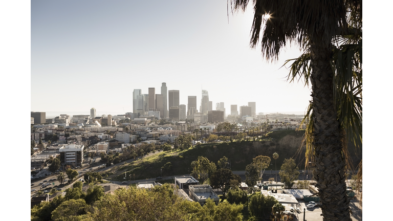 Sunny cityscape, Los Angeles, California, USA