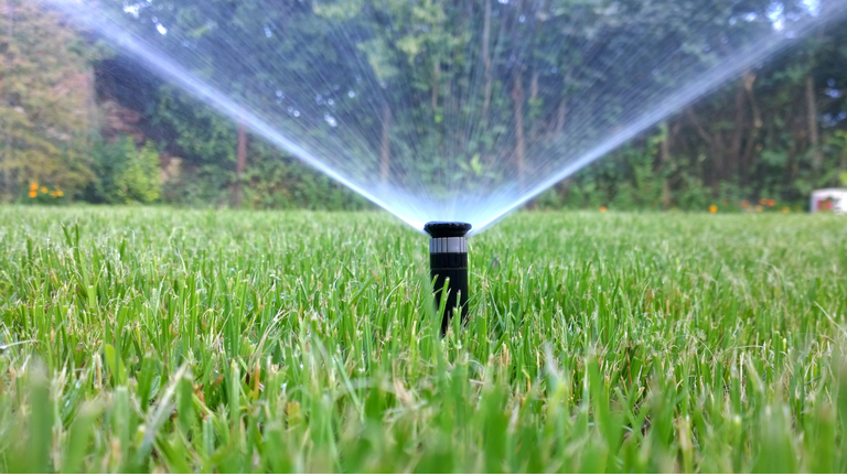 sprinkler of automatic watering