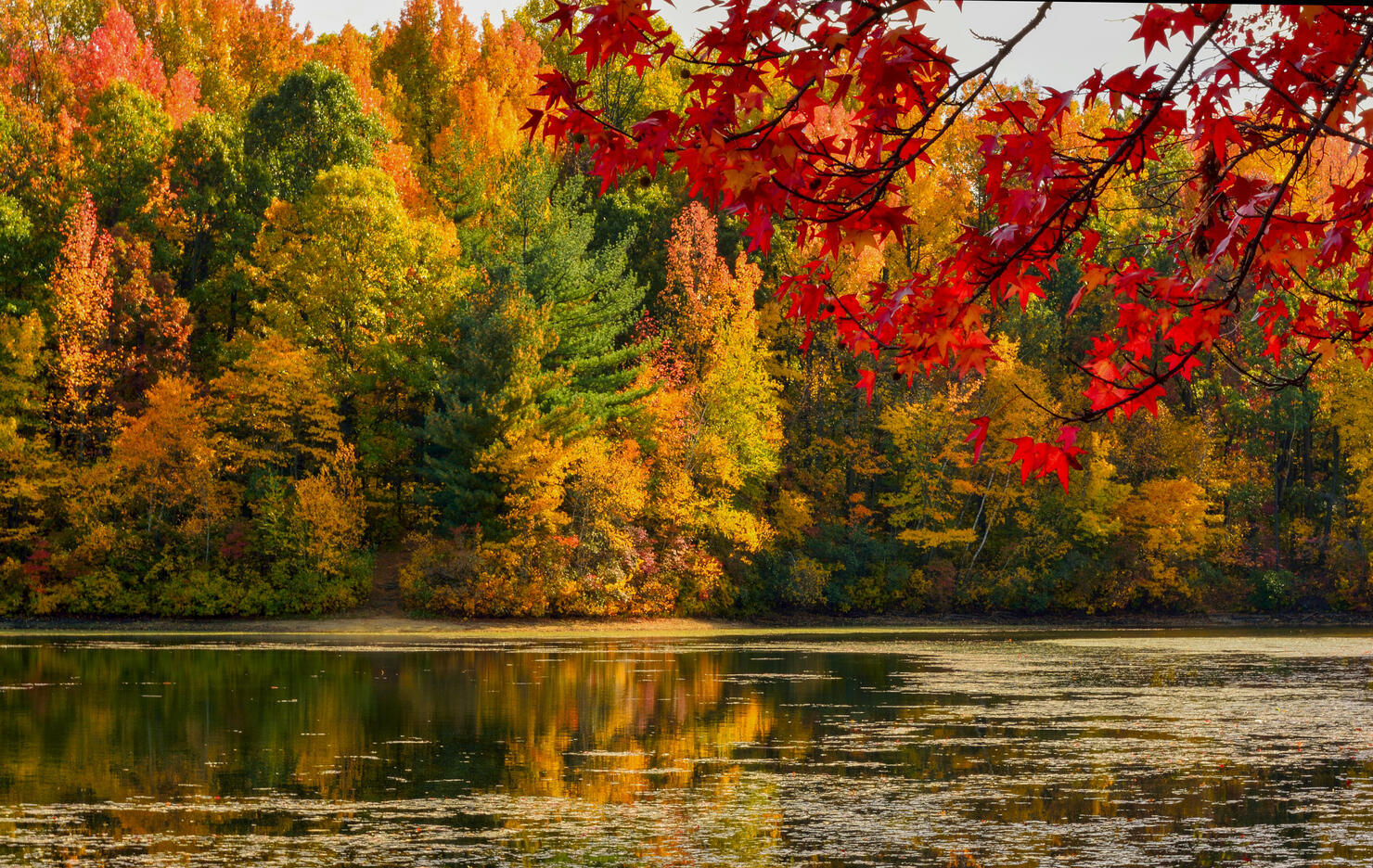 Here's How To Find The Most Vibrant Fall Foliage In Ohio | iHeart