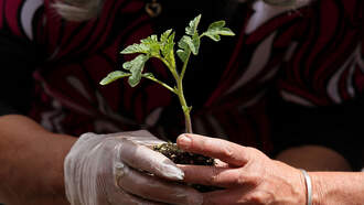 Here's How To Get Involved On Earth Day In Dallas-Fort Worth