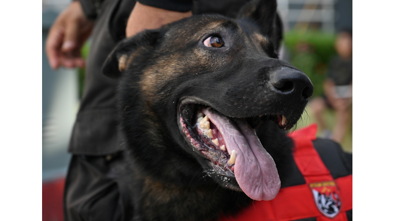 Indiana Photography Students Donate Time to Help Police and Their K-9 Dogs