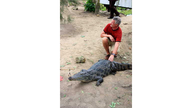 Tourist touching a large crocodile near Cape Coast, Ghana