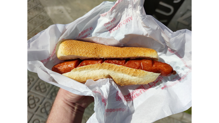 holding a traditional hot dog in the hand