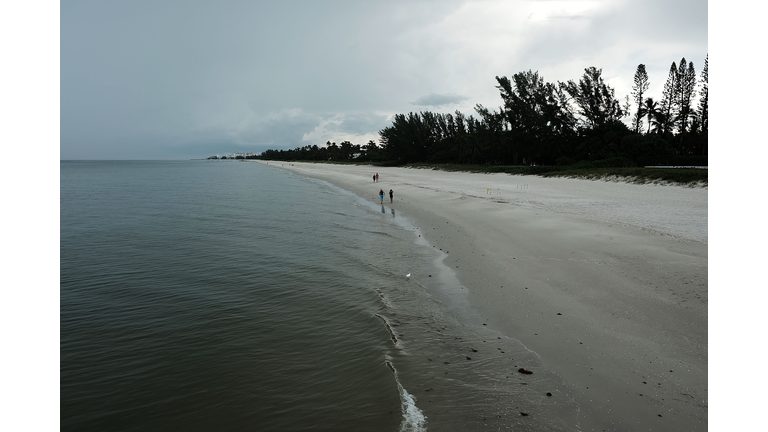 Red Tide Algae Blooms Continue On Florida's Gulf Coast