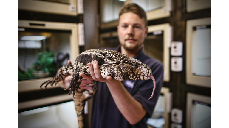 RSPCA Reveal The Exotic Pets They Rescue