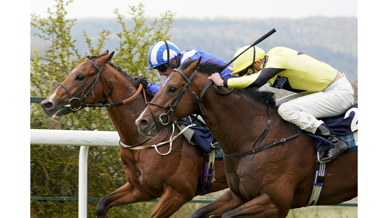 Goodwood Races