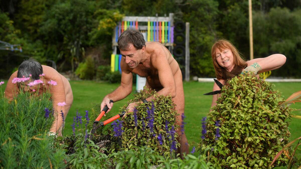  Sunflowers and Nudists  