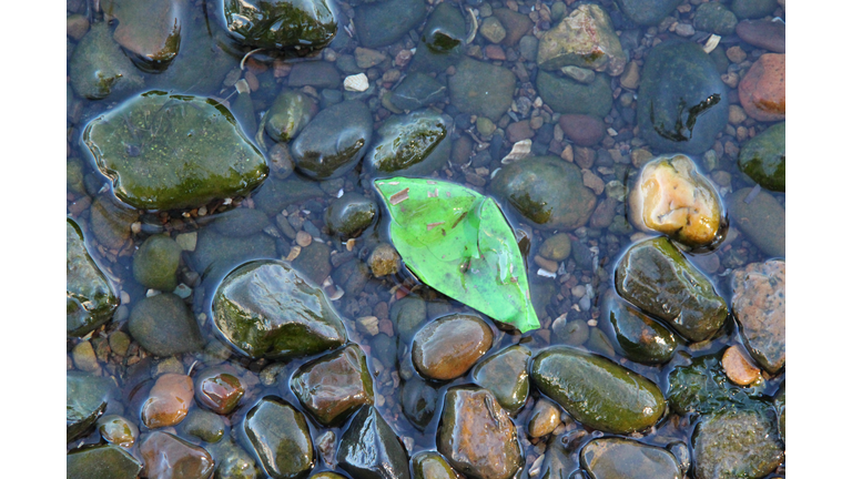 Rubber balloon in the lake