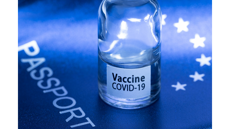 FRANCE-VIRUS-VACCINE-PASSPORT