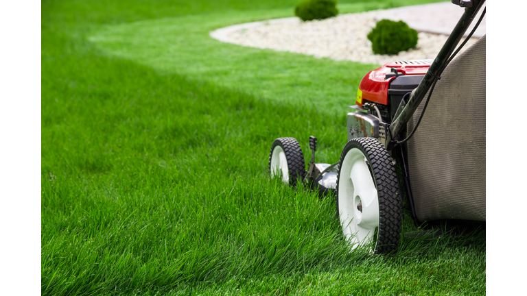 Lawn mower