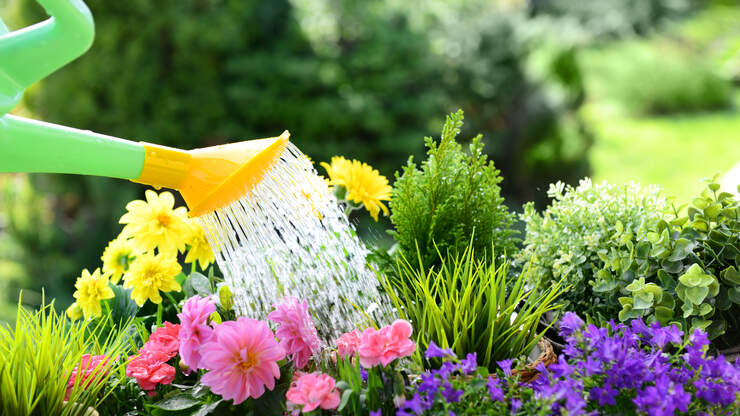 Delivery Driver Uses Flower Bed As Bathroom To Oklahoma ...