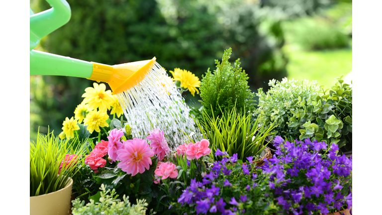 Gardening