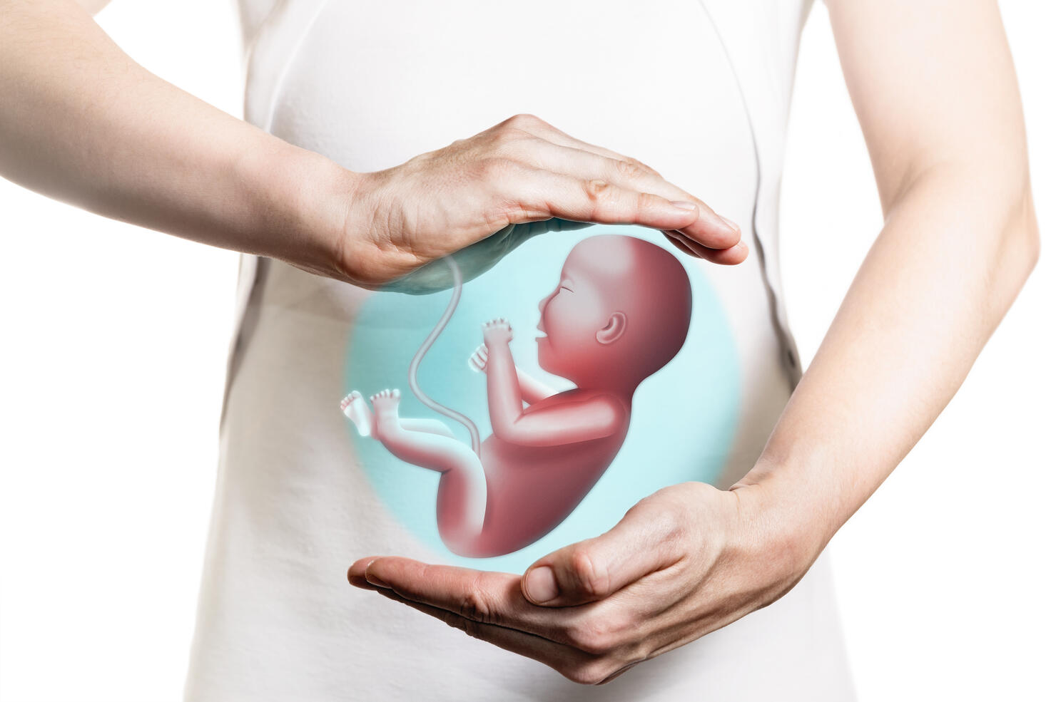 Concept of  maintaining a pregnancy, In vitro fertilisation, health of the embryo.