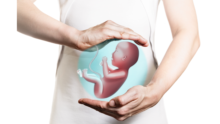 Concept of  maintaining a pregnancy, In vitro fertilisation, health of the embryo.