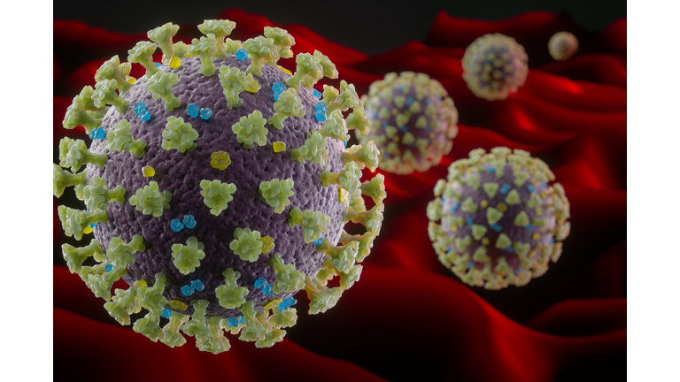 Coronavirus structure