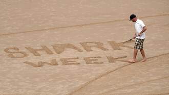 Discovery Drops The First Teaser Promo For “Shark Week” 