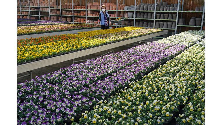 States Ease Some Lockdown Restrictions