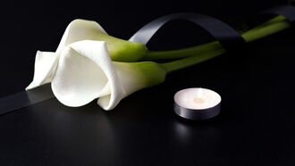 Dearly Departed Special #2