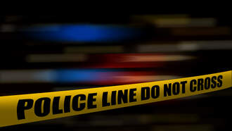 Auction House Employee Accused Of Stabbing Coworker