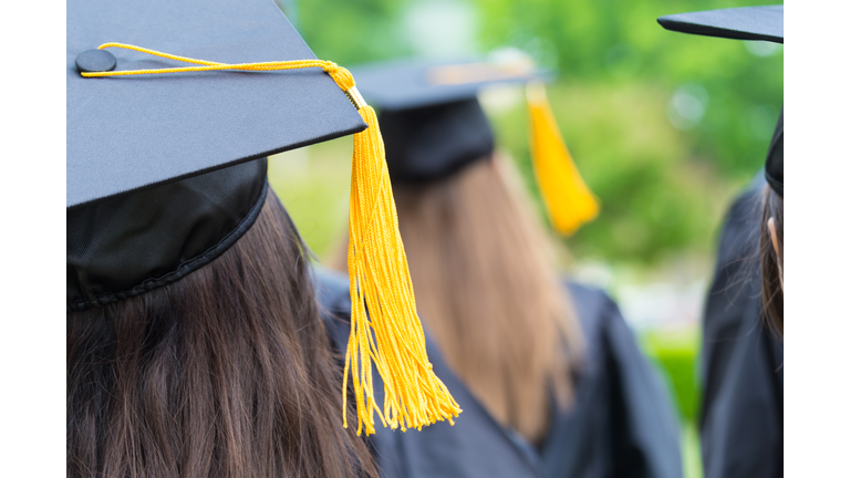 Backs of graduates in lines at commencement ceremony