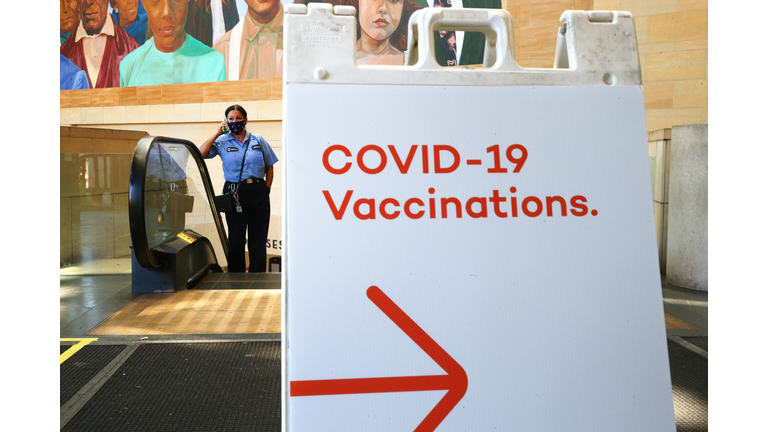 Vaccination Rates Sharply Decline As States Across Nation Try To Reach Herd Immunity