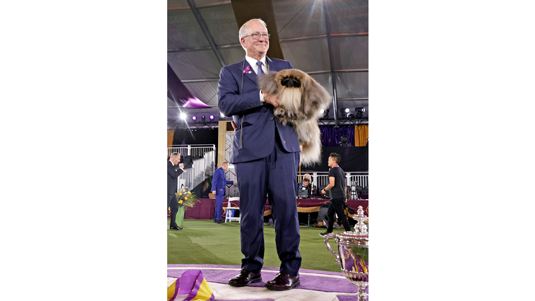 145th Annual Westminster Kennel Club Dog Show