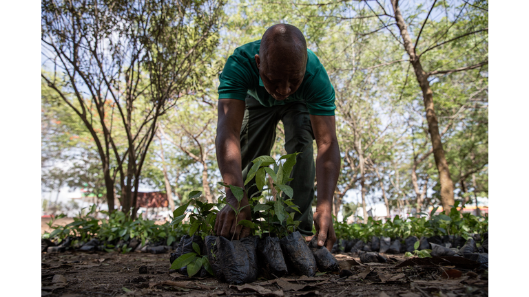 GHANA-ENVIRONMENT