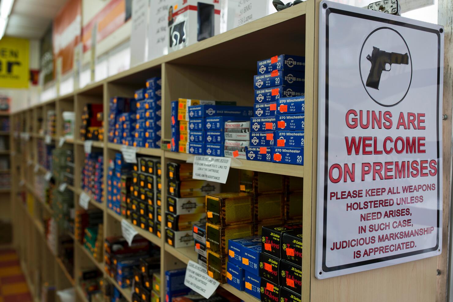 US-VOTE-ELECTION-GUNS
