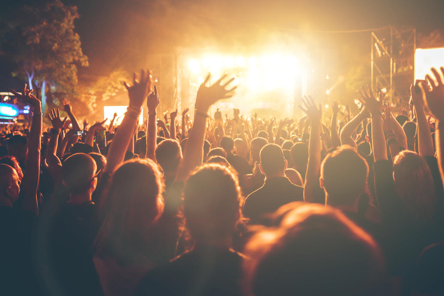 People having fun at a concert