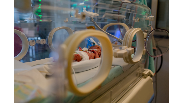 premature baby lies in the incubator