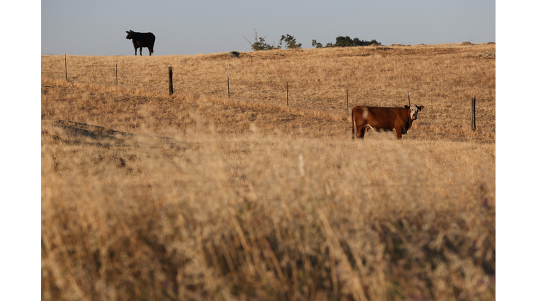 California's Central Valley Struggles With Worsening Drought