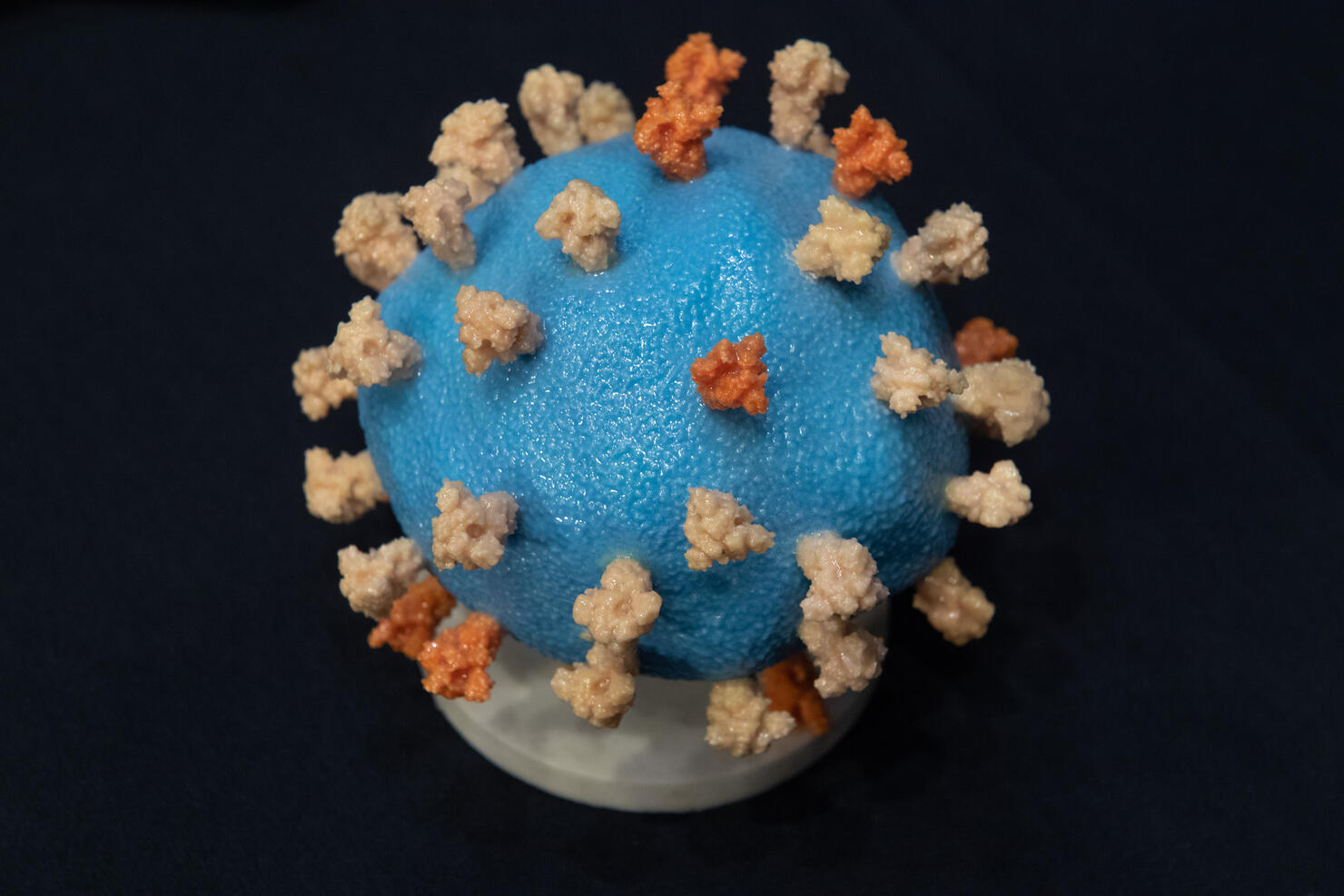 Government Health Officials Testify On Coronavirus Vaccine Development