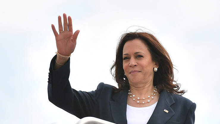 Senator Cruz Blasts Harris' Border Trip Plans