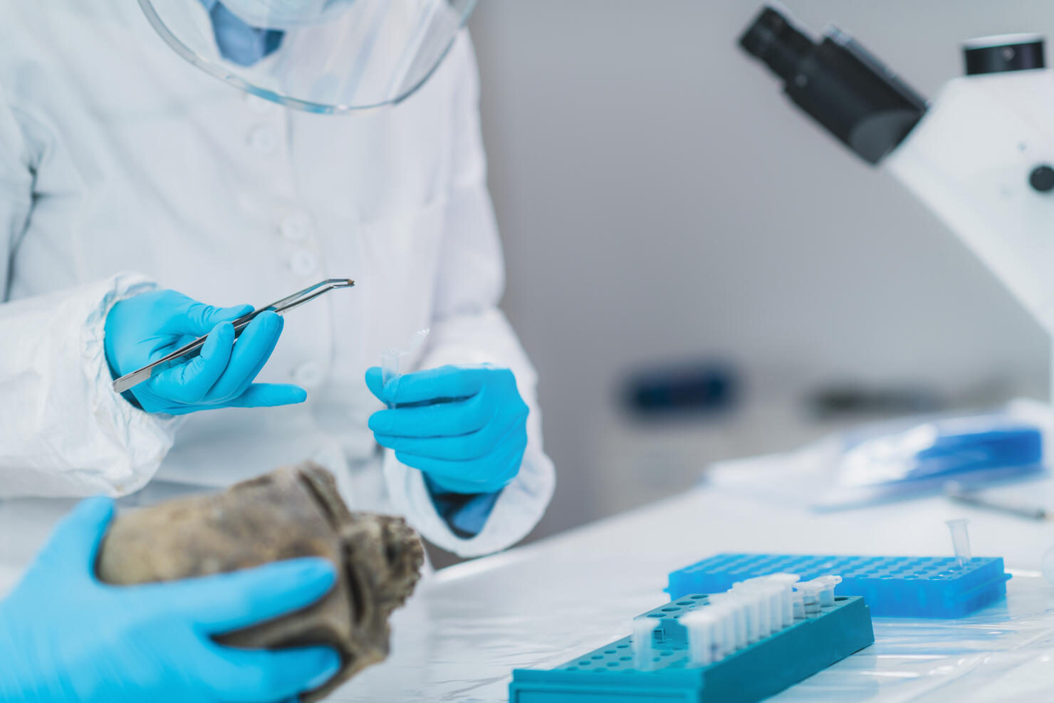 Midsection Of Doctors Examining Skull In Laboratory