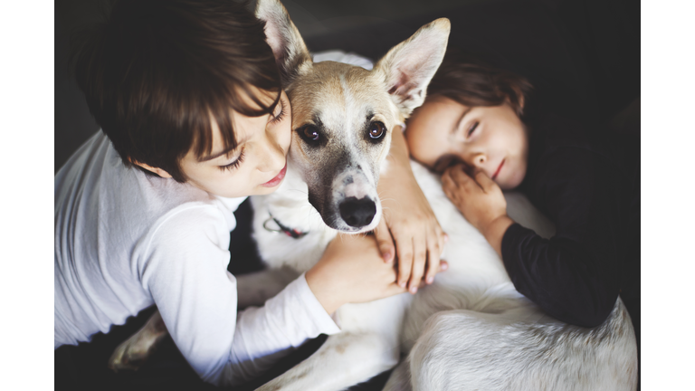 Portrait of a boy and a little girl hugging their pet, an adopted dog.
