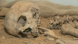 Ancient Human Origins