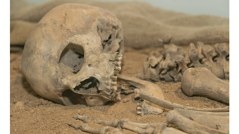 Ancient Giants in America