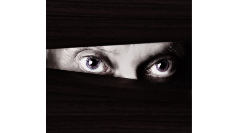 Conspiracy Theories / Area 51 & New Mexico UFOs